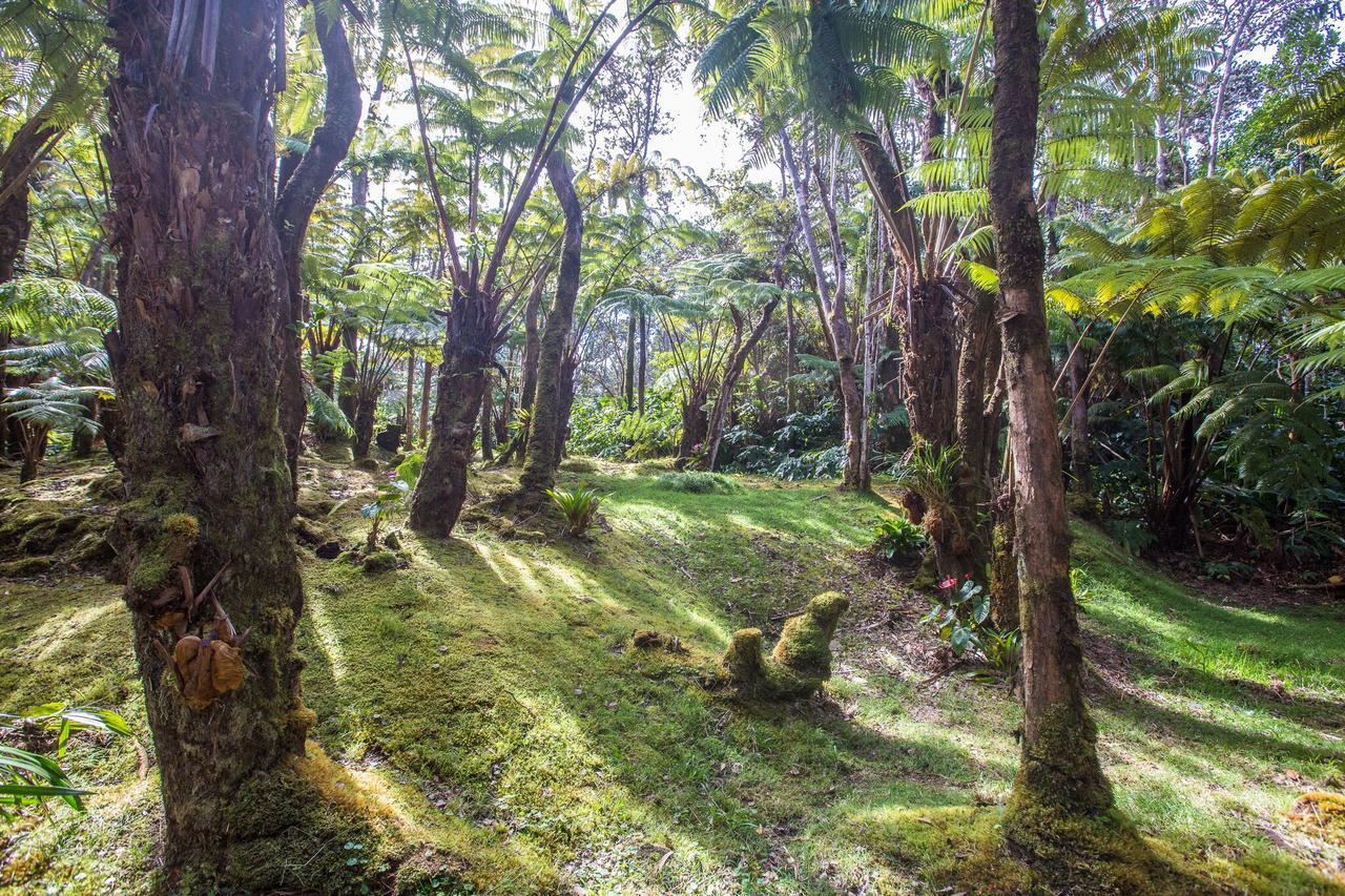 Hale Mauna Loa Upper Level With Shared Hot Tub Volcano Bagian luar foto